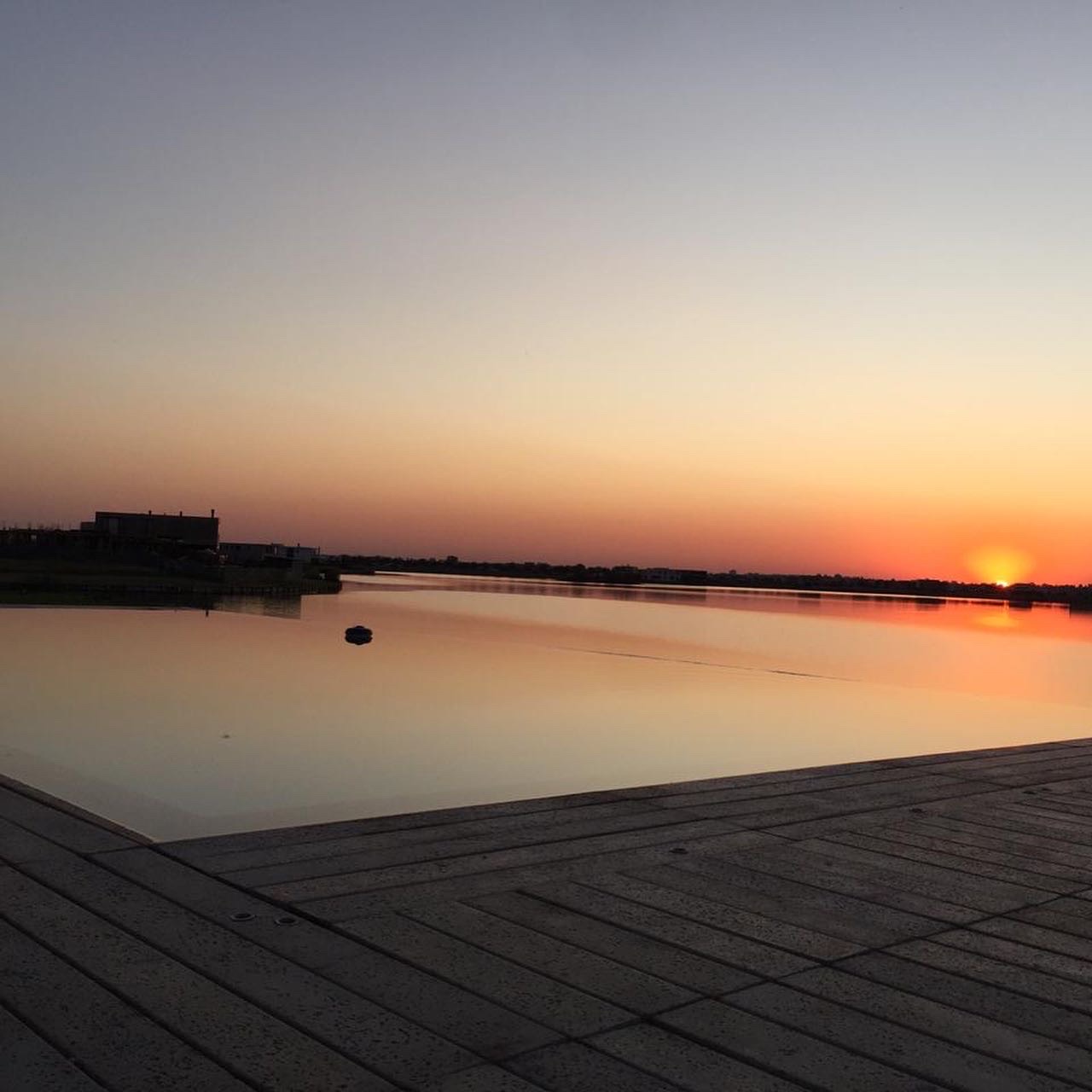 Piscina con desborde infinito al lago en Nordelta