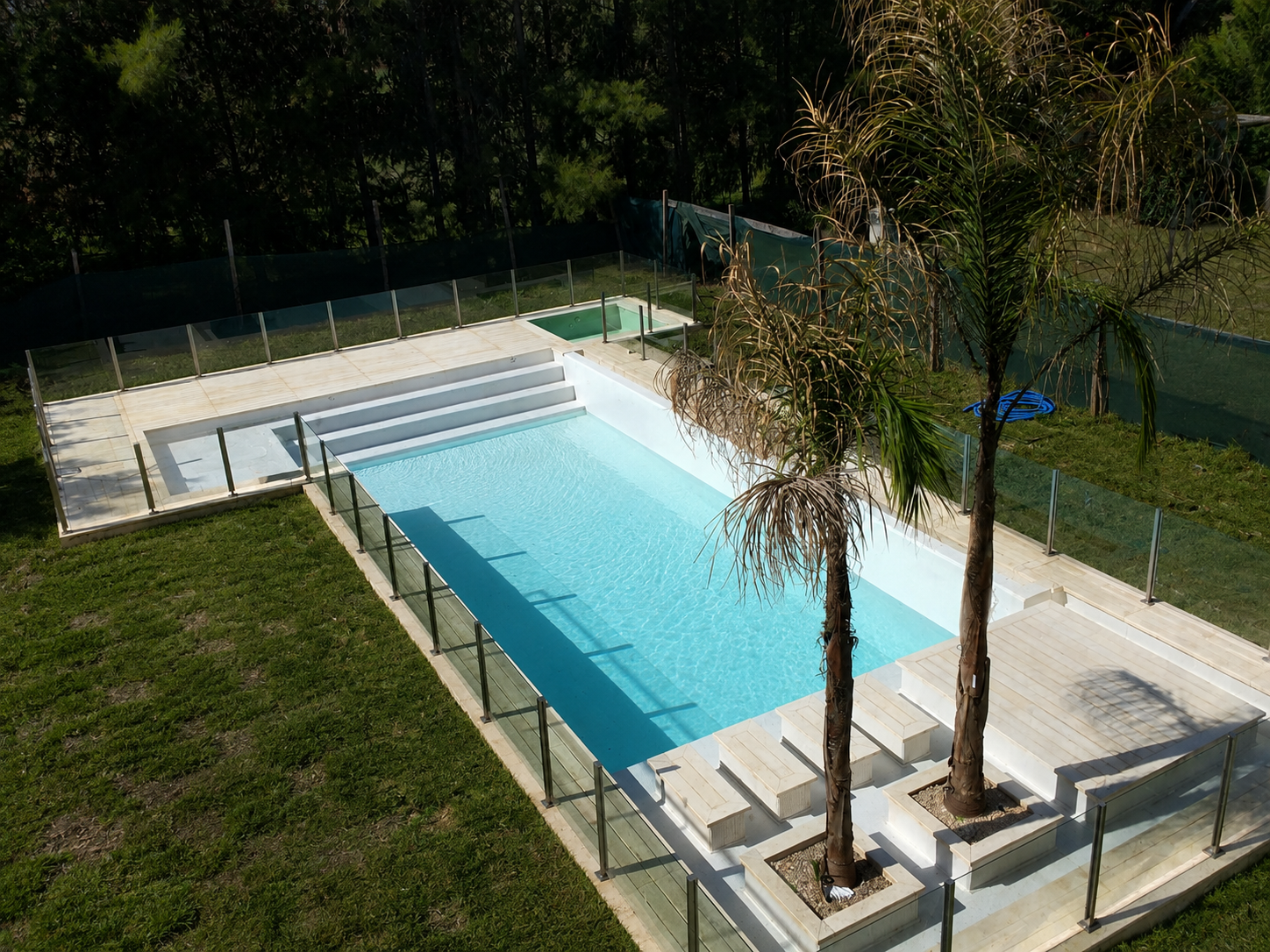 Piscina con palmeras integradas, espejo de agua y escalones flotantes, Campo Grande, Pilar
