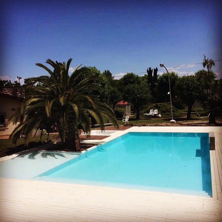 Piscina con playa húmeda, palmera integrada y jacuzzi, Tigre